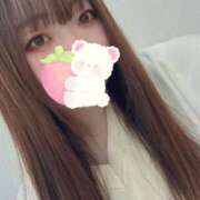 ヒメ日記 2026/04/29 09:02 投稿 ひより シルクハット