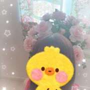 ヒメ日記 2026/04/04 13:03 投稿 松田もも 五十路マダム 沼津店(カサブランカグループ)