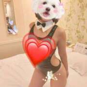 あんず 勉強がんばらないと?   カサブランカ岡山店（カサブランカグループ）