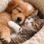 ヒメ日記 2026/04/27 08:40 投稿 かんな 栃木小山ちゃんこ