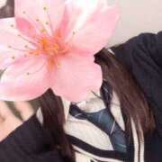 ヒメ日記 2026/03/30 11:13 投稿 なぎさ 見学娘