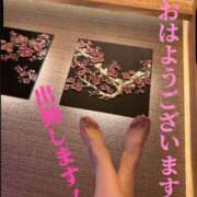 ヒメ日記 2026/07/31 08:00 投稿 人吉 新宿人妻城