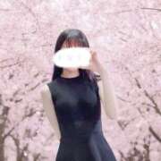 ヒメ日記 2026/04/17 20:05 投稿 かなで Noble