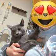 ヒメ日記 2026/03/29 21:56 投稿 あずさ 2980円（にゃんきゅっぱ）