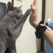 ヒメ日記 2026/04/09 15:26 投稿 あずさ 2980円（にゃんきゅっぱ）