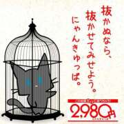 ヒメ日記 2026/04/16 16:56 投稿 あずさ 2980円（にゃんきゅっぱ）