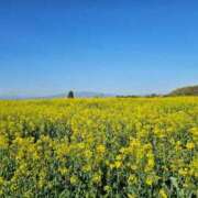 ヒメ日記 2026/04/26 14:12 投稿 南☆ 豊橋豊川ちゃんこ