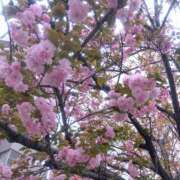 ヒメ日記 2026/04/13 23:30 投稿 ななこ 奥鉄オクテツ大阪