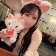 ヒメ日記 2026/04/20 20:40 投稿 みな 深海魚