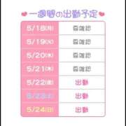 ヒメ日記 2026/05/19 14:32 投稿 ぱいん 桃李（とうり）