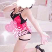 ヒメ日記 2026/06/28 06:12 投稿 ぱいん 桃李（とうり）