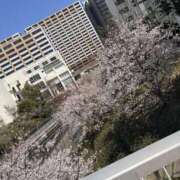 ヒメ日記 2026/04/15 12:18 投稿 ひなた 女の子がセルフで撮影する店！！成田デリヘル『生パネル』伝説