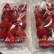 『るり』 ᐠ( ᐢ ᵕ ᐢ )ᐟᐠ( ᐢ ᵕ ᐢ )ᐟ ESSENCE