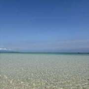 りん ありがとう アレグリア