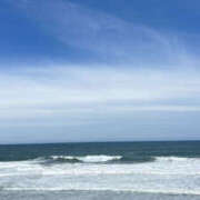 ヒメ日記 2026/04/17 23:00 投稿 りん アレグリア