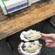 ヒメ日記 2026/04/29 15:34 投稿 りん アレグリア