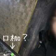 ヒメ日記 2026/06/20 11:20 投稿 佐久良 ミセスハンドセラピー