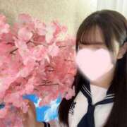 ヒメ日記 2026/05/01 14:33 投稿 りさ アロー