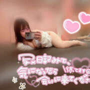 ヒメ日記 2026/04/03 20:07 投稿 京本 越後屋池袋総本店