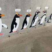 ヒメ日記 2026/04/05 13:12 投稿 ねおん『新人割SWEET対応』 今ドキ マットMAX