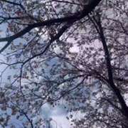 ヒメ日記 2026/04/07 11:50 投稿 ねおん『新人割SWEET対応』 今ドキ マットMAX