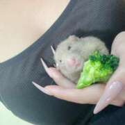 ヒメ日記 2026/04/07 22:33 投稿 ねおん『新人割SWEET対応』 今ドキ マットMAX