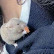 ヒメ日記 2026/04/11 07:43 投稿 ねおん『新人割SWEET対応』 今ドキ マットMAX