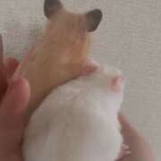 ヒメ日記 2026/04/13 12:51 投稿 ねおん『新人割SWEET対応』 今ドキ マットMAX