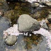 ヒメ日記 2026/04/08 08:52 投稿 ゆりか Evolution 2nd