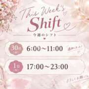 ヒメ日記 2026/09/29 19:48 投稿 ゆりか Evolution 2nd