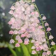 ヒメ日記 2026/03/23 22:46 投稿 桐生 熟女の風俗最終章 新横浜店