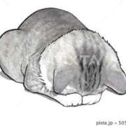 みな ごめんなさいぃ😵‍💫 熟女総本店 日本橋ミナミエリア店