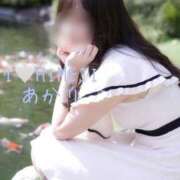 ヒメ日記 2026/04/05 12:07 投稿 あかり I❤HIMEJI（アイラブ姫路）
