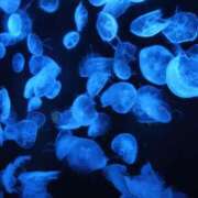 ヒメ日記 2026/04/23 14:17 投稿 なお セレブクエスト-Nishikawa-