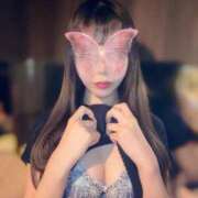 ヒメ日記 2026/04/08 08:16 投稿 ニジホ アリスマリオン