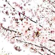 ヒメ日記 2026/04/02 13:57 投稿 なぎ 半熟ばなな 品川