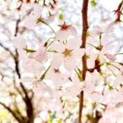 ヒメ日記 2026/04/07 16:47 投稿 なぎ 半熟ばなな 品川