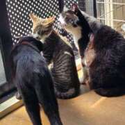 ヒメ日記 2026/04/22 16:45 投稿 おとは クラブ貴公子