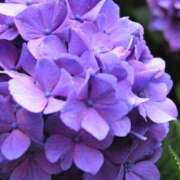 ヒメ日記 2026/06/10 14:45 投稿 おとは クラブ貴公子