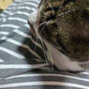ヒメ日記 2026/08/14 11:30 投稿 おとは クラブ貴公子