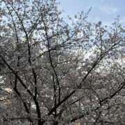 萌梛/もな すきっ ANEJE～アネージュ池袋～(ユメオト)