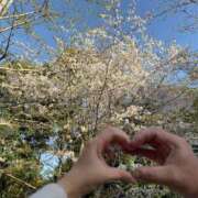 ヒメ日記 2026/04/06 01:59 投稿 秋莉(しゅり) 大牟田デリヘル倶楽部