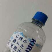 ヒメ日記 2026/03/24 09:30 投稿 セイラ PALCO(パルコ)