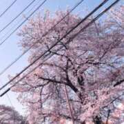 ヒメ日記 2026/04/05 15:47 投稿 えりな Number Five 品川（シンデレラグループ）
