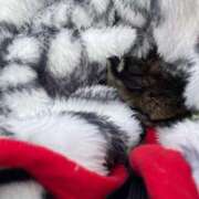 ヒメ日記 2026/03/24 23:01 投稿 紀乃 しおり 人妻セレブ宮殿