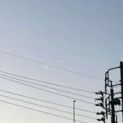 ヒメ日記 2026/03/25 11:58 投稿 紀乃 しおり 人妻セレブ宮殿