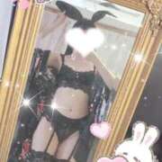 ヒメ日記 2026/04/18 12:19 投稿 うづき いざ候 本館