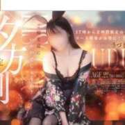 ヒメ日記 2026/05/06 12:07 投稿 うづき いざ候 本館