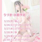 ヒメ日記 2026/05/25 12:17 投稿 うづき いざ候 本館