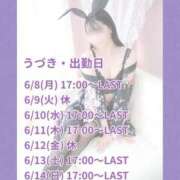 ヒメ日記 2026/06/06 12:17 投稿 うづき いざ候 本館